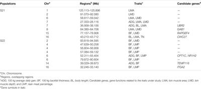 Assessment of Heterozygosity and Genome-Wide Analysis of Heterozygosity Regions in Two Duroc Pig Populations